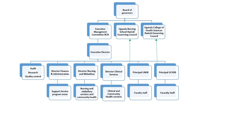 Organisation Structure